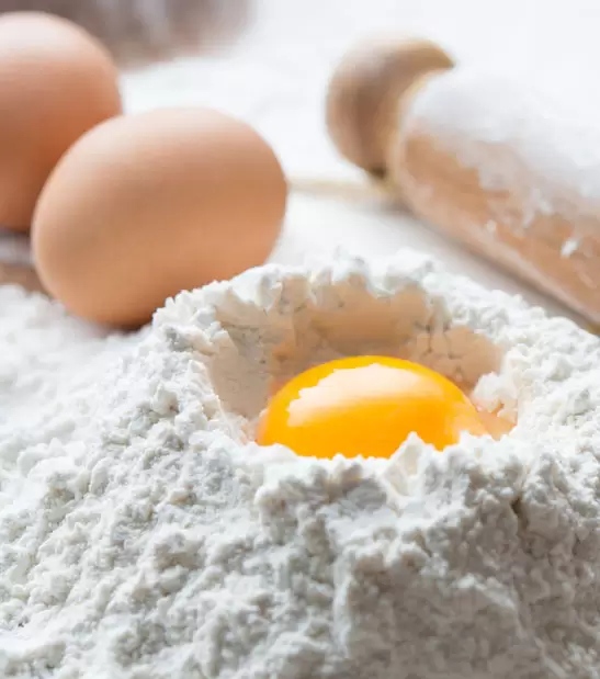 vendita pasta fresca on line vendita pasta fresca on line